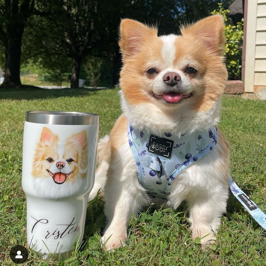 Hand Painted Pet Portrait Tumblers SOLD OUT ONLY AVAILABLE ON ETSY
