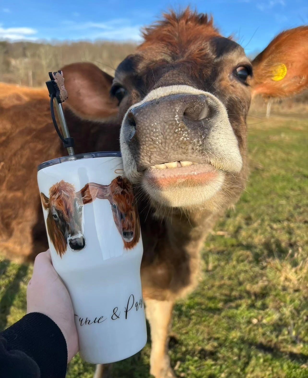 Hand Painted Pet Portrait Tumblers SOLD OUT ONLY AVAILABLE ON ETSY